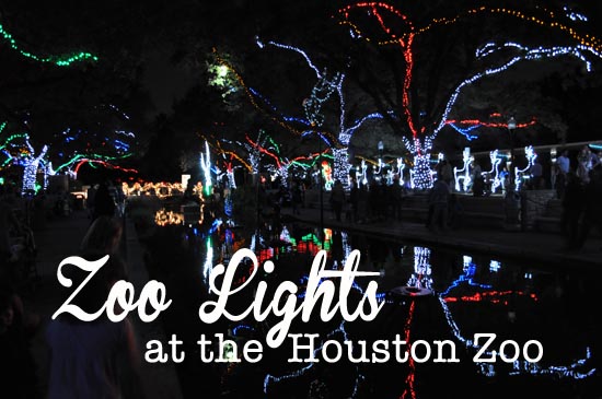 Zoo Lights gorgeous holiday lights at the Houston Zoo