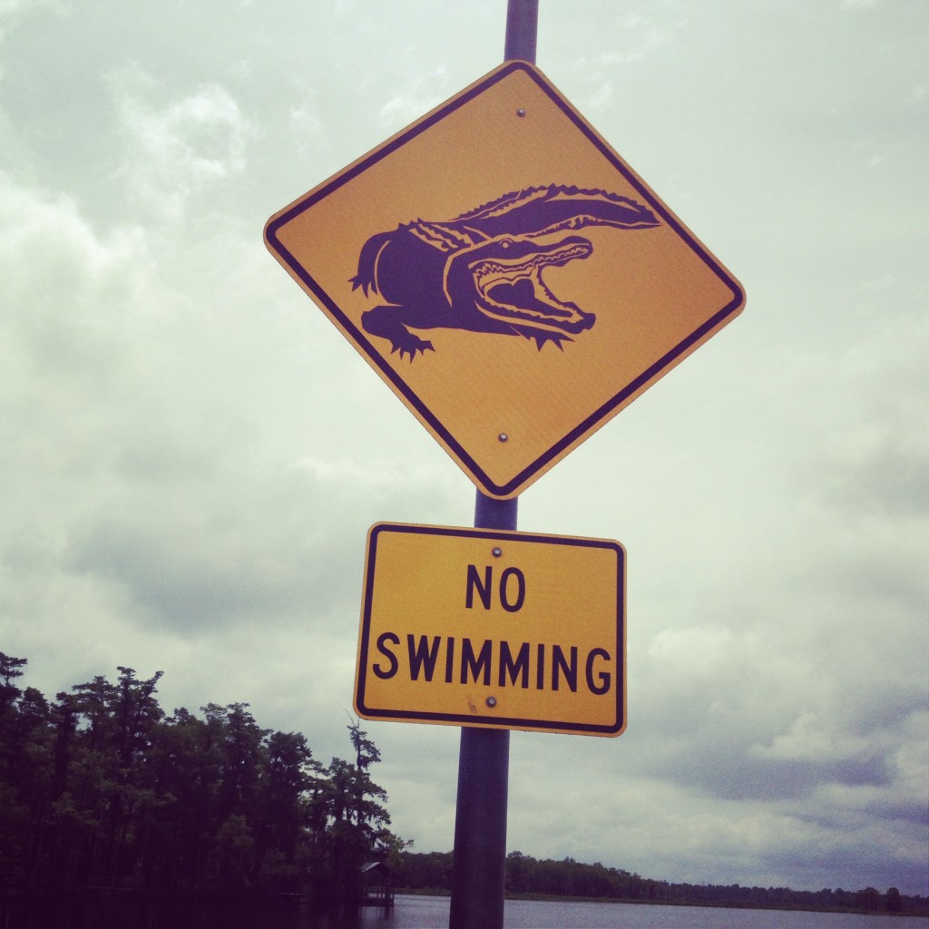 No Swimming - Alligators