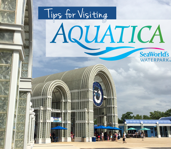 Tips for Visiting Aquatica Sea World