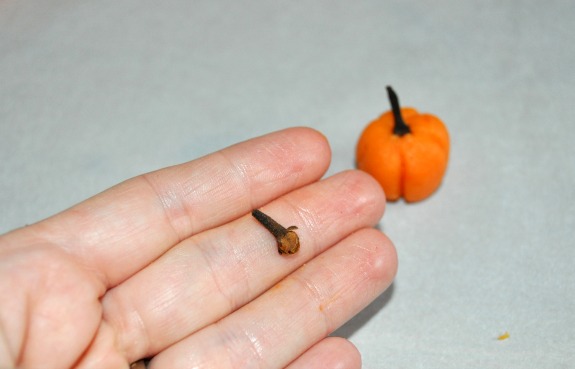 Using a clove as a pumpkin stem