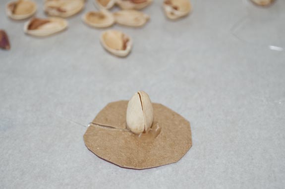 things to make with pastachio shells