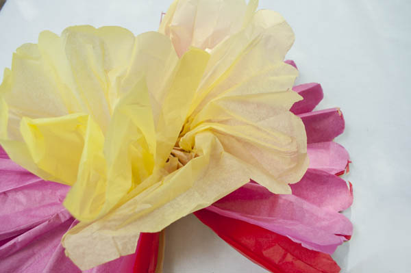 Tissue paper flowers for cinco de mayo