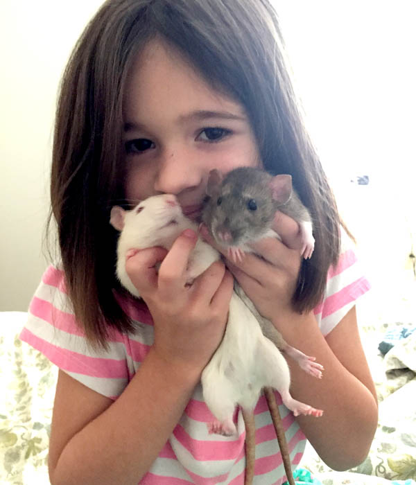 Are rats a good pet for kids?