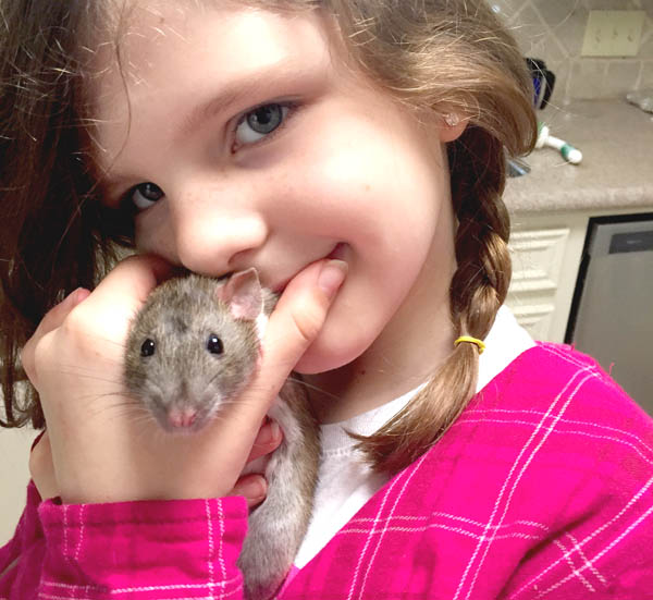 are rats a good pet for kids