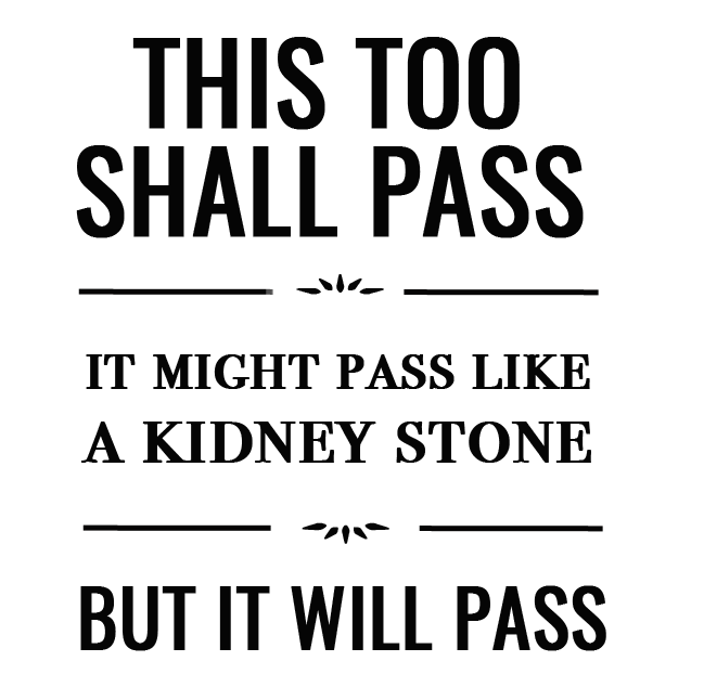 METAL REFRIGERATOR MAGNET This Shall Pass Like Kidney Stone Humor Family Friend 