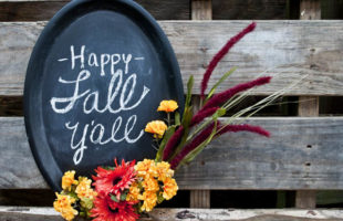 Fall Chalkboard – Make this for less than $10!