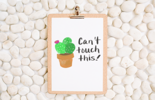 Can’t Touch This! Super Cute Free Printable Cactus Poster