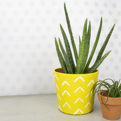 DIY Pineapple Painted Aloe Plant Pot